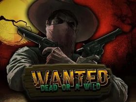 Wanted Dead or a Wild Slot